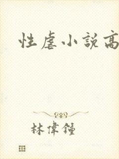 性虐小说高h封面