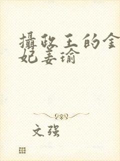 摄政王的金牌宠妃姜瑜封面