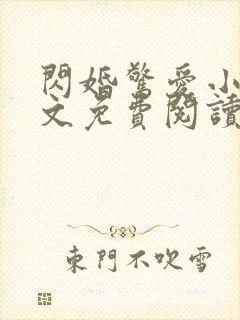 闪婚惊爱小说全文免费阅读