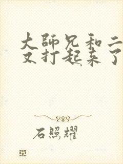 大师兄和二师兄又打起来了小说