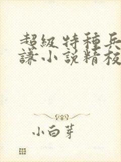 超级特种兵王叶谦小说精校版全集txt