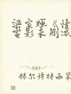 梁家辉《情人》电影未删减版