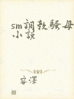 sm调教骚母狗小说