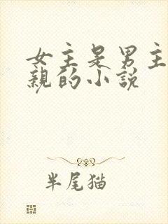 女主是男主的母亲的小说封面