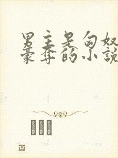 男主是匈奴强取豪夺的小说