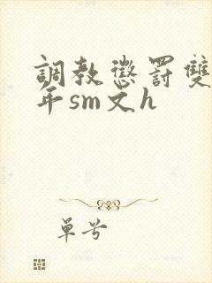 调教惩罚双性少年sm文h封面