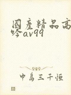 国产精品高潮呻吟av99封面