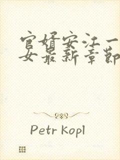 官婿安江一母三女最新章节免费阅读