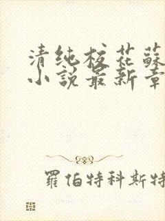 清纯校花苏绵绵小说最新章节更新列