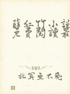 薛红竹小说全文免费阅读最新章节