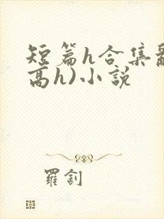 短篇h合集乱(高h)小说