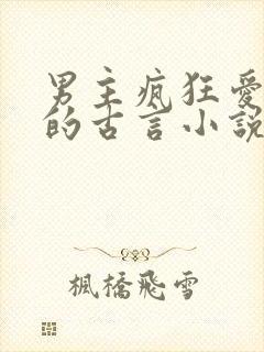 男主疯狂爱女主的古言小说