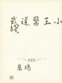 武道医王小说在线