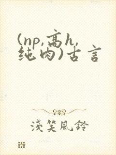(np,高h,纯肉)古言
