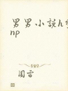 男男小说h双性np