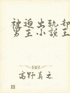 被迫出轨却上瘾男主小说王琴