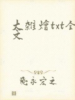 大杂烩txt全文