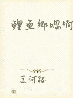 鲤鱼乡嗯啊不要