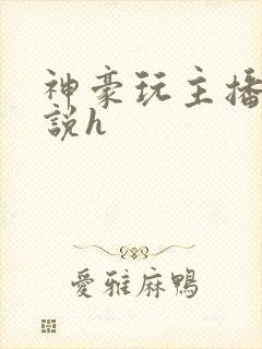 神豪玩主播的小说h