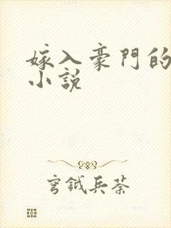 嫁入豪门的男人小说