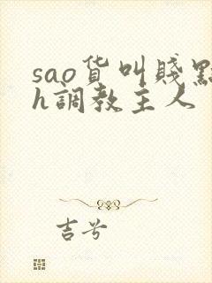 sao货叫贱点h调教主人封面
