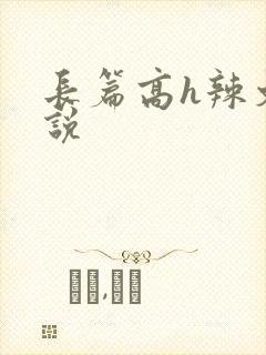 长篇高h辣文小说