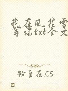 我在风花雪月里等你txt全文下载