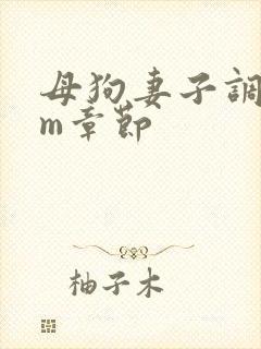 母狗妻子调教sm章节封面