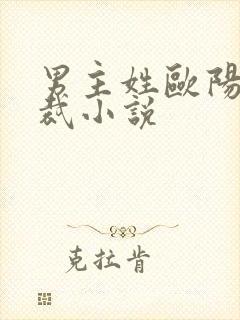 男主姓欧阳的总裁小说