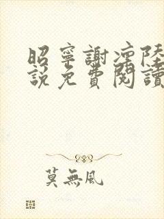 昭宁谢凛陆巍小说免费阅读封面