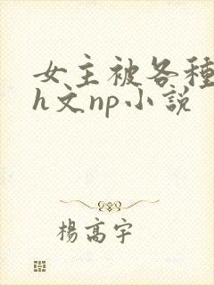 女主被各种调教h文np小说