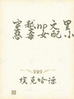 穿越np文里的恶毒女配小说