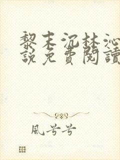 黎末沉林沁染小说免费阅读最新章节封面