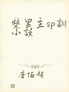 双男主sp训诫小说