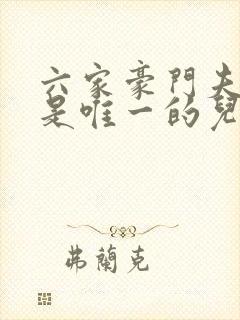 六家豪门夫人我是唯一的儿子小说