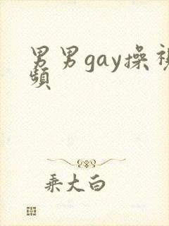 男男gay操视频