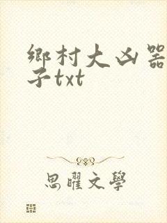 乡村大凶器龙傻子txt封面