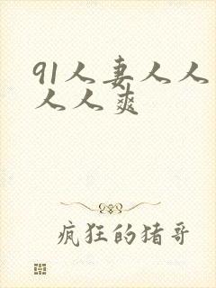 91人妻人人妻人人爽