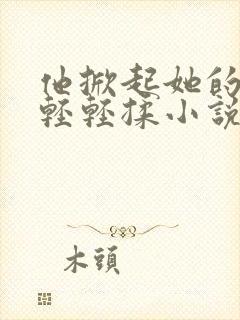 他掀起她的内衣轻轻揉小说