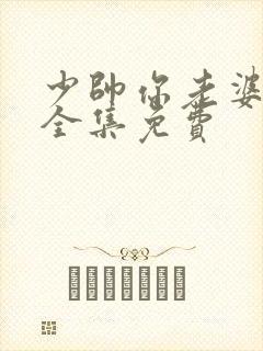 少帅你老婆又跑全集免费