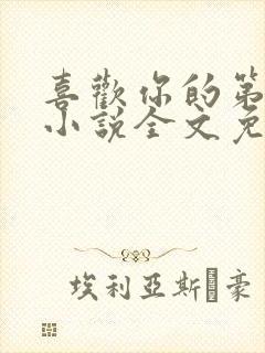 喜欢你的第十年小说全文免费阅读