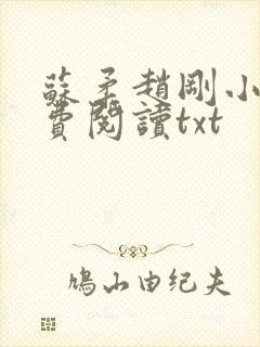 苏柔赵刚小说免费阅读txt