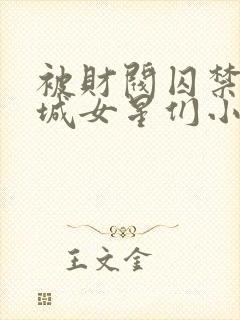 被财阀囚禁的京城女星们小说