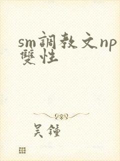 sm调教文np双性