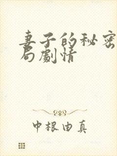 妻子的秘密大结局剧情封面