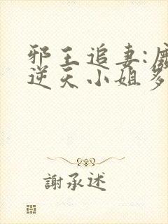 邪王追妻:废材逆天小姐多少字