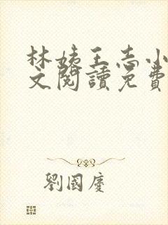 林姨王志小说全文阅读免费