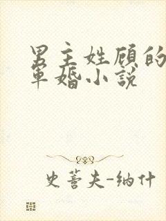 男主姓顾的所有军婚小说封面