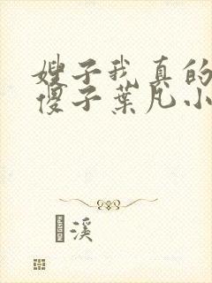 嫂子我真的不是傻子叶凡小说全文阅读