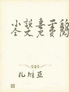 小说妻子的秘密全文免费阅读全文